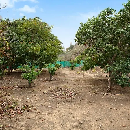 Finca Vega Ayagaures * San Bartolome de Tirajana (Gran Canaria)
